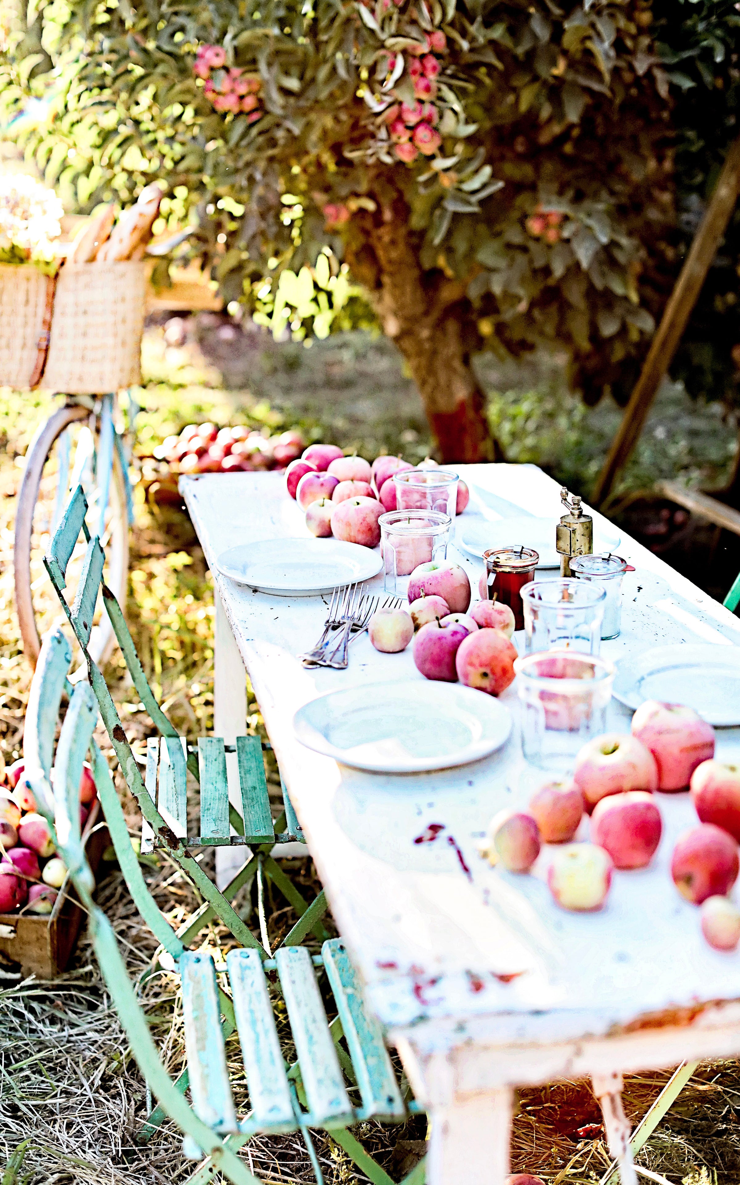Set of Four French Farmhouse Apple Orchard Note Cards