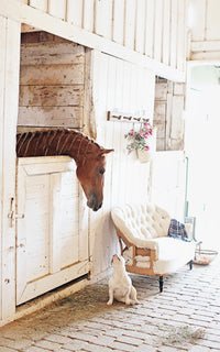 Set of Four At the Stables Note Cards