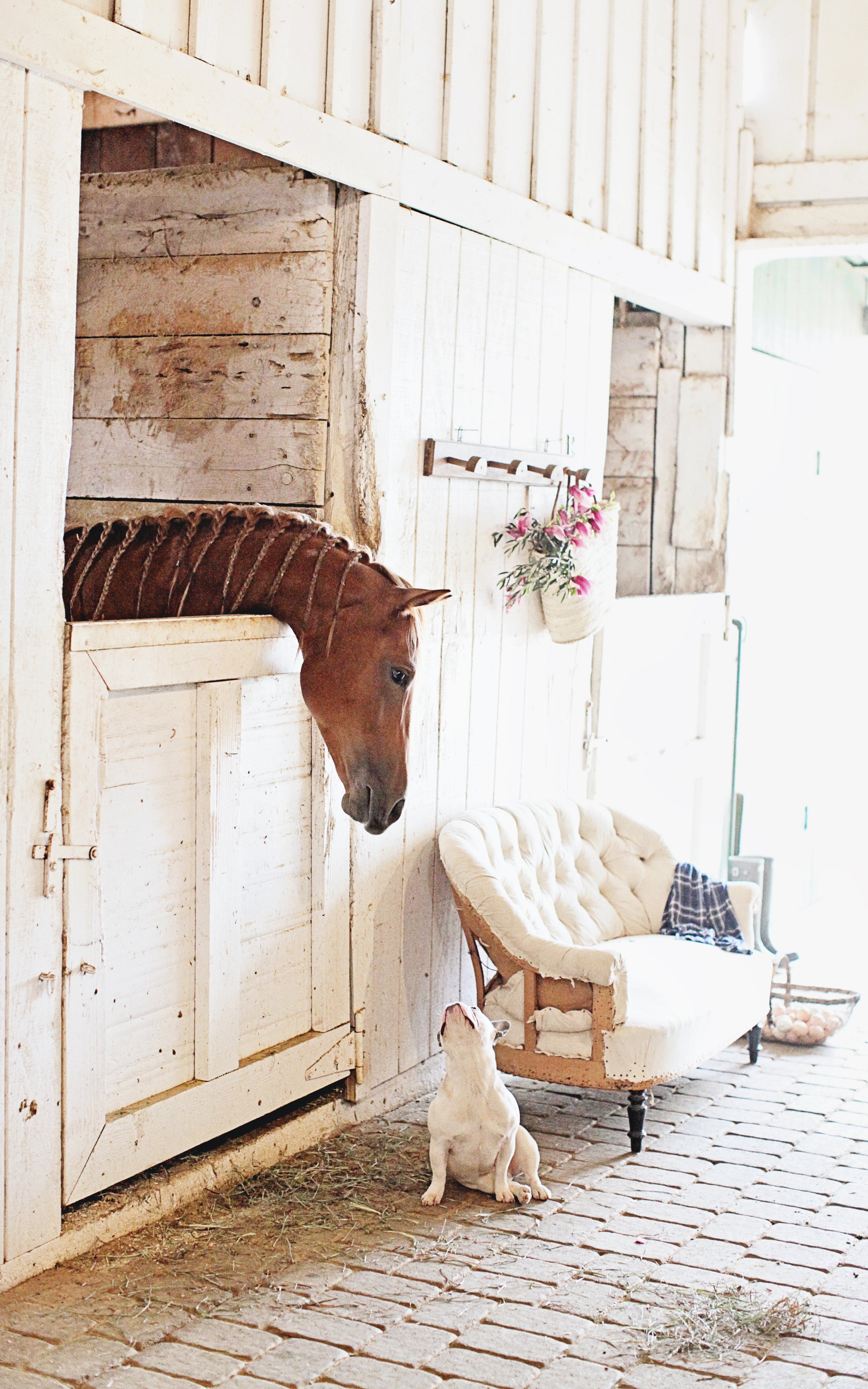 Set of Four At the Stables Note Cards
