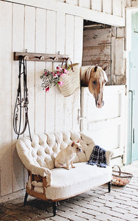 Set of Four At the Stables Note Cards