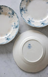 Set of Three Vintage French Transferware Plates