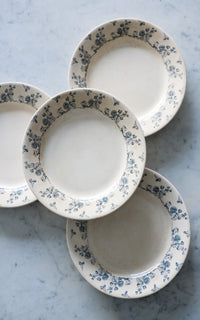Set of Four Vintage French Transferware Ironstone Plates