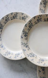 Set of Four Vintage French Transferware Ironstone Plates