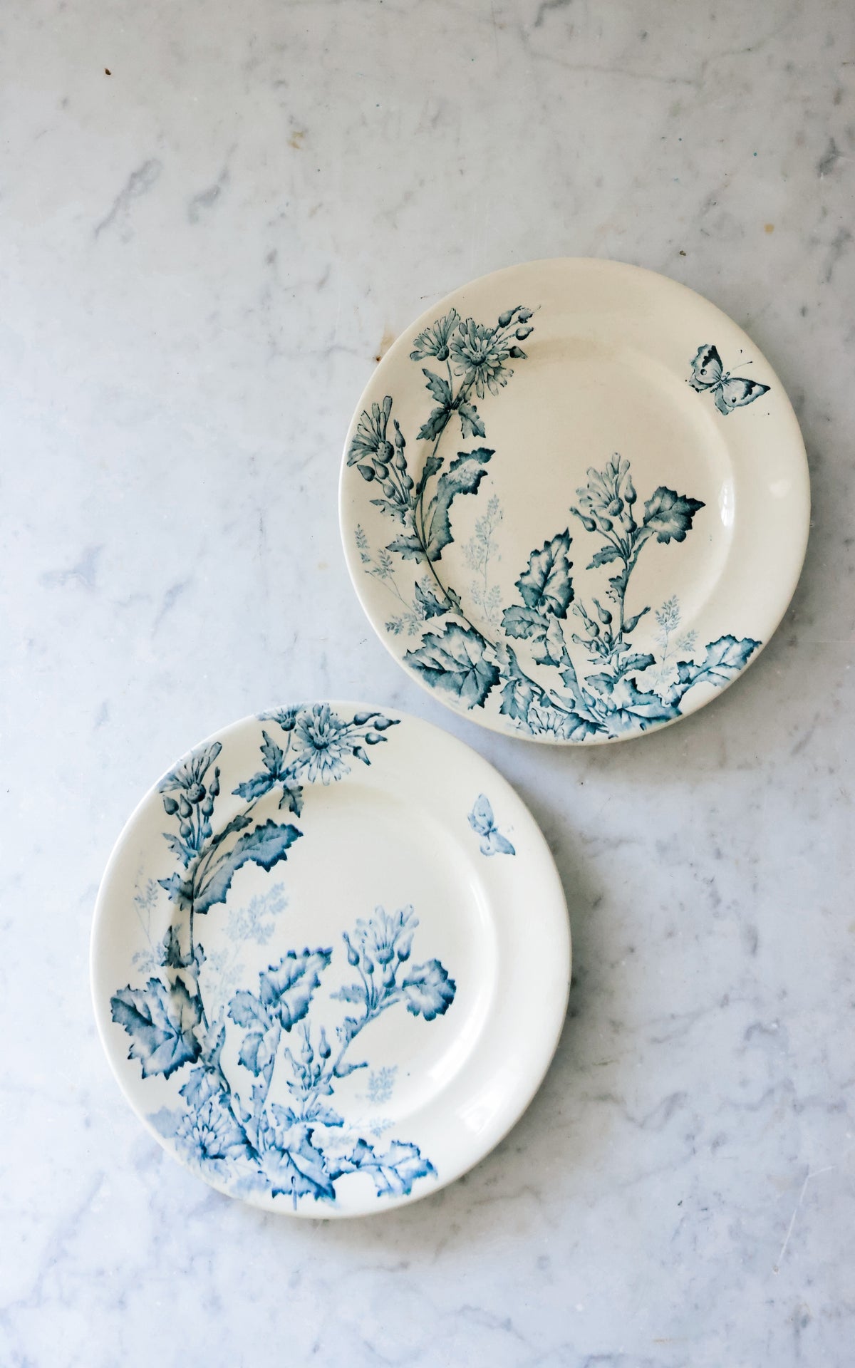 Set of Two Vintage French Ironstone Plates