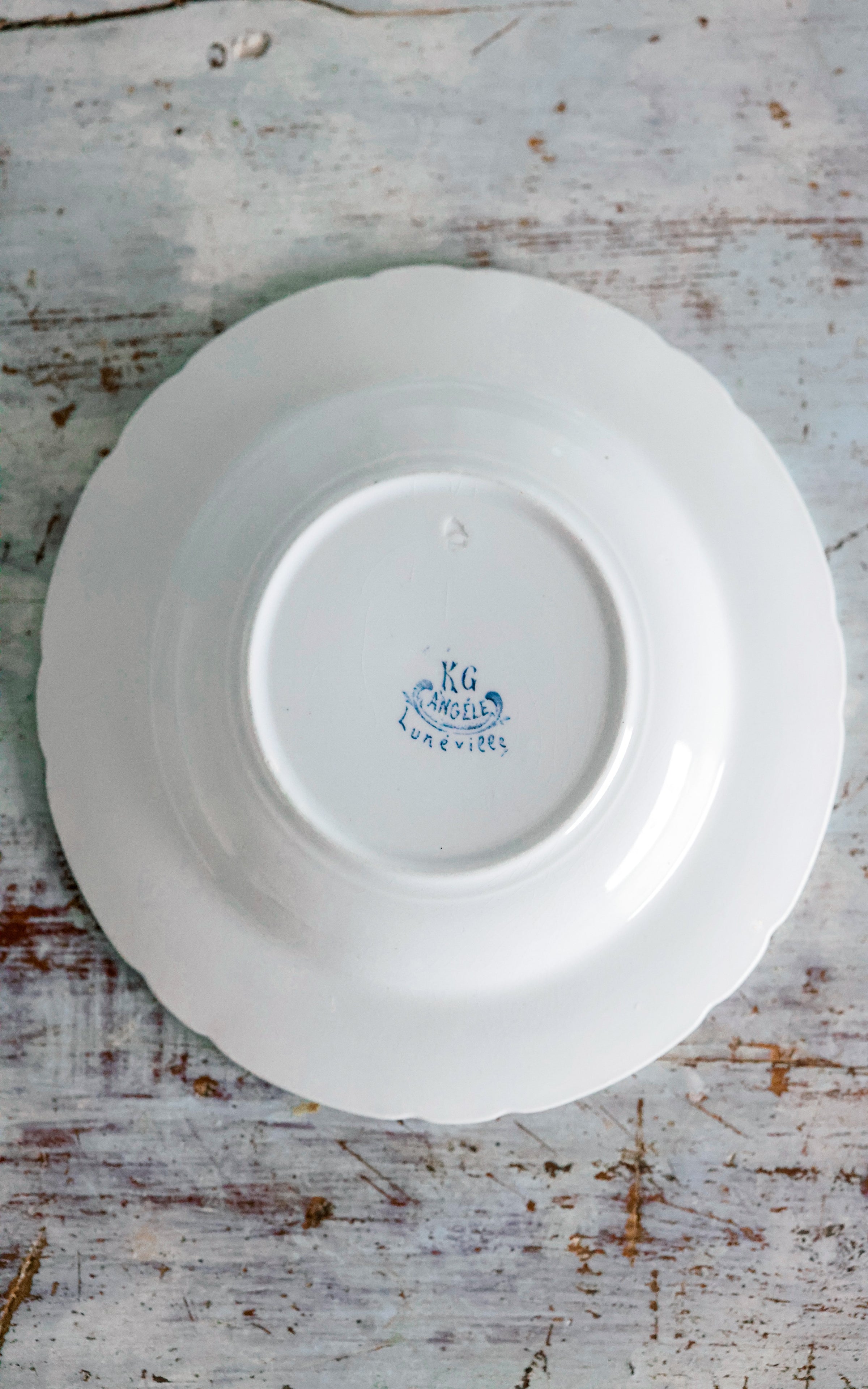 Set of Five Vintage French Ironstone Transferware Plates