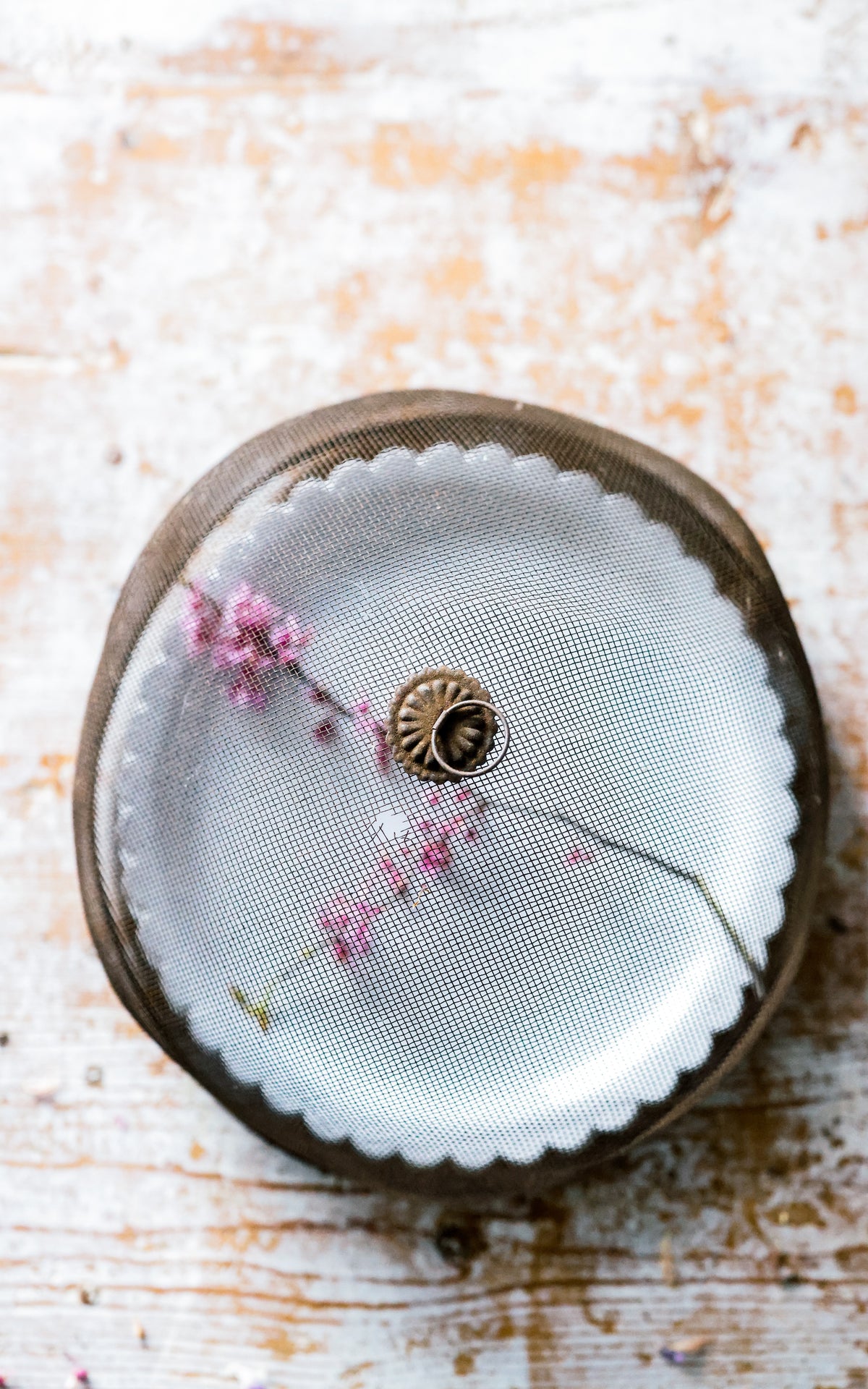 Vintage French Food Screen