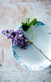 Vintage French Ironstone Compote