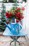 Vintage French Watering Can