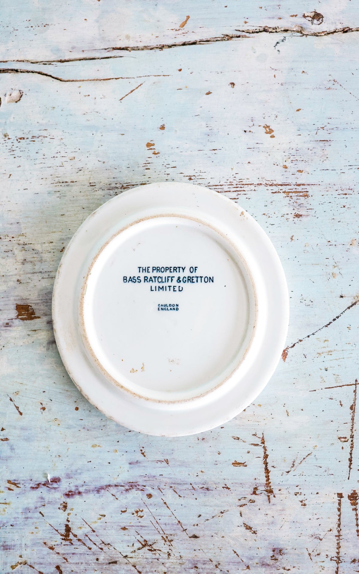 Vintage English Ironstone Plate