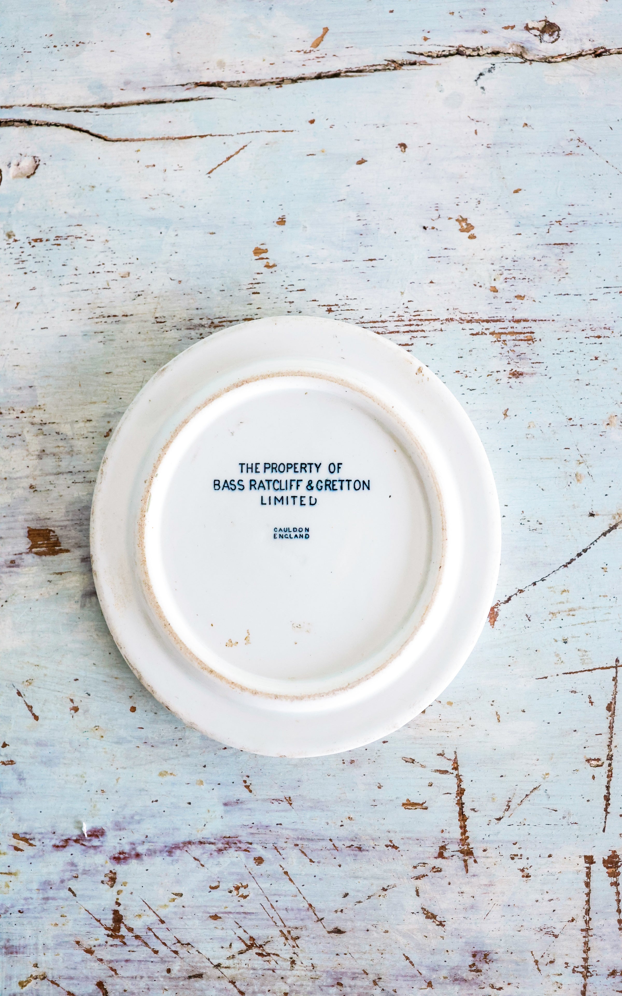 Vintage English Ironstone Plate