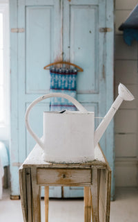 Vintage French Zinc Watering Can