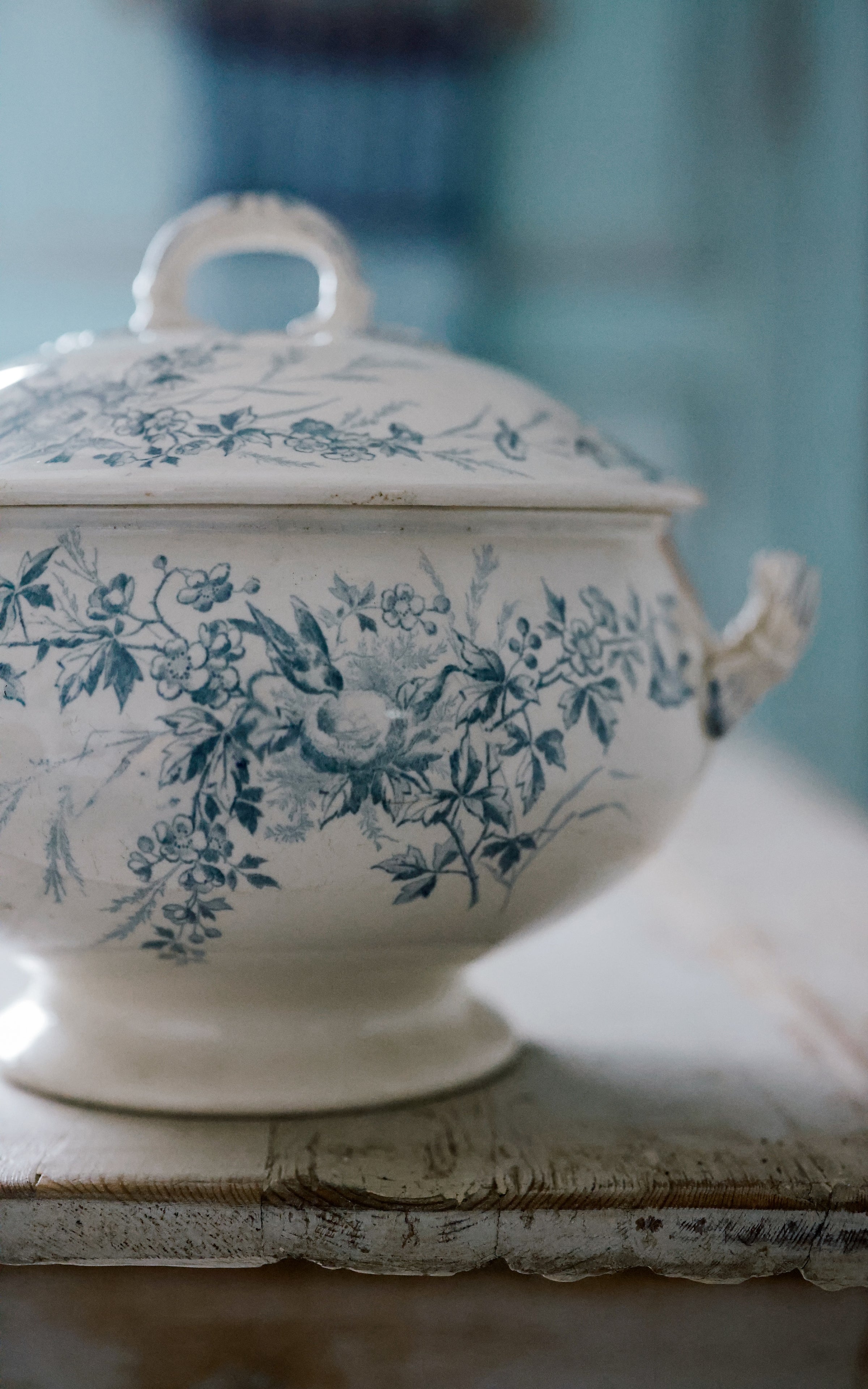 Vintage French Tureen