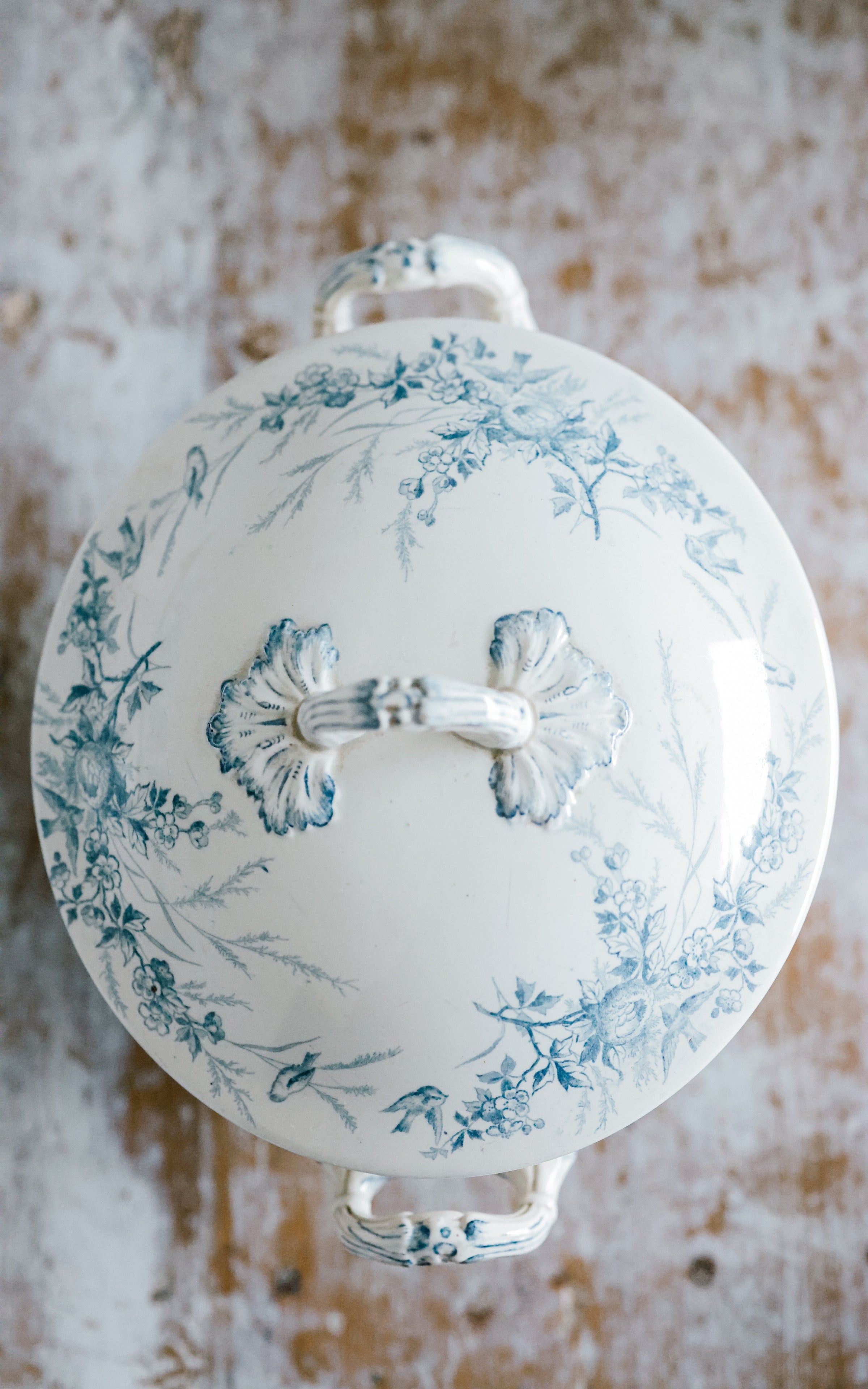 Vintage French Tureen