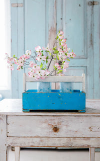 Vintage French Trugg