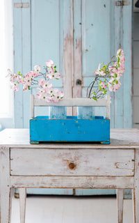 Vintage French Trugg
