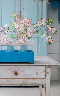 Vintage French Trugg