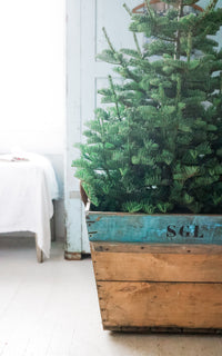 Vintage French Champagne Crate