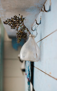 Vintage French Wasp Catcher