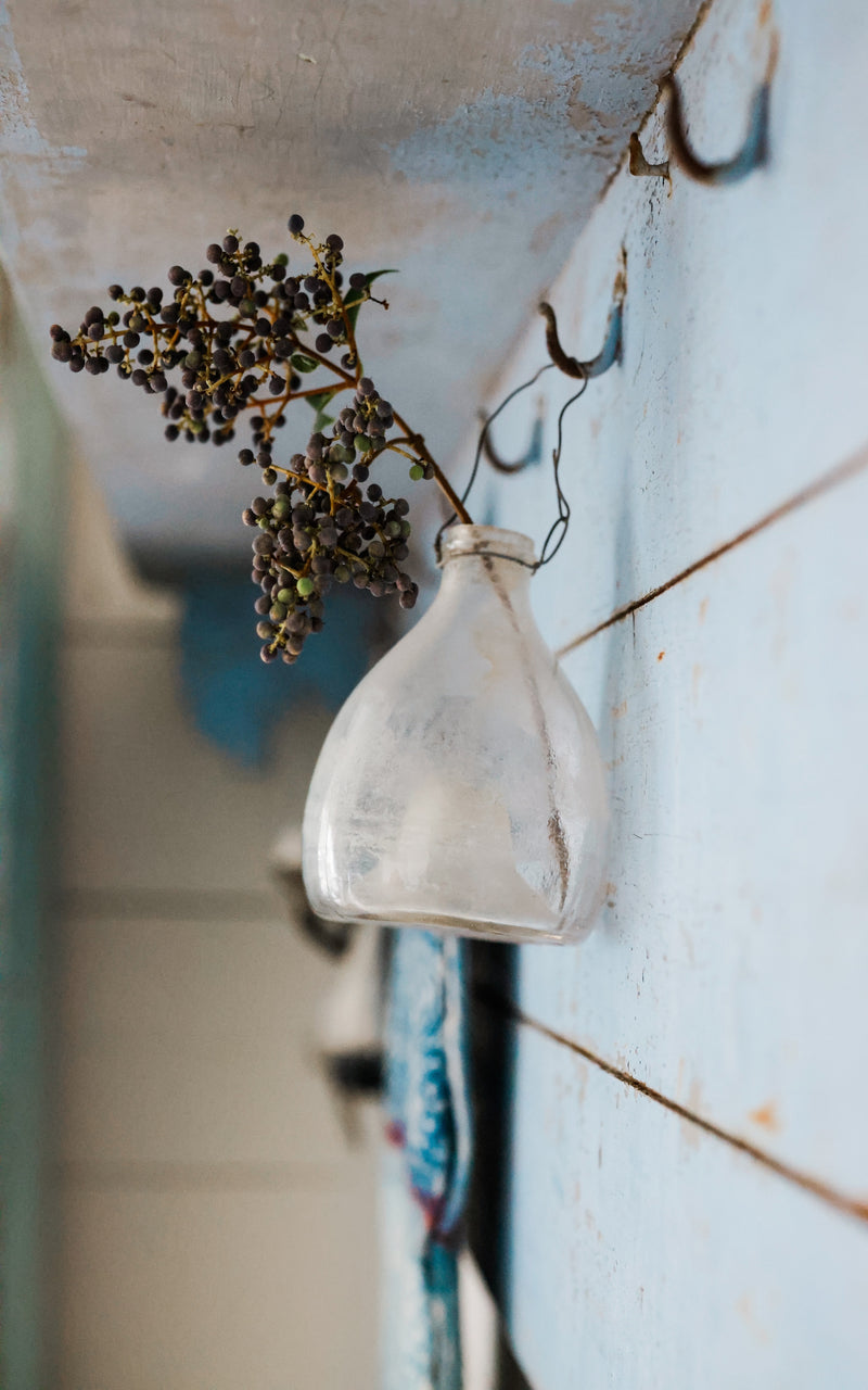 Vintage French Wasp Catcher