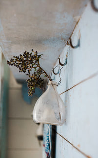 Vintage French Wasp Catcher