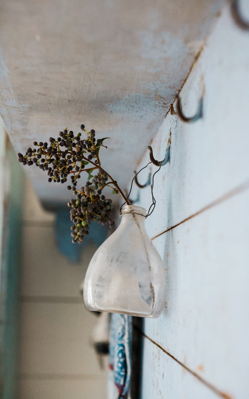 Vintage French Wasp Catcher