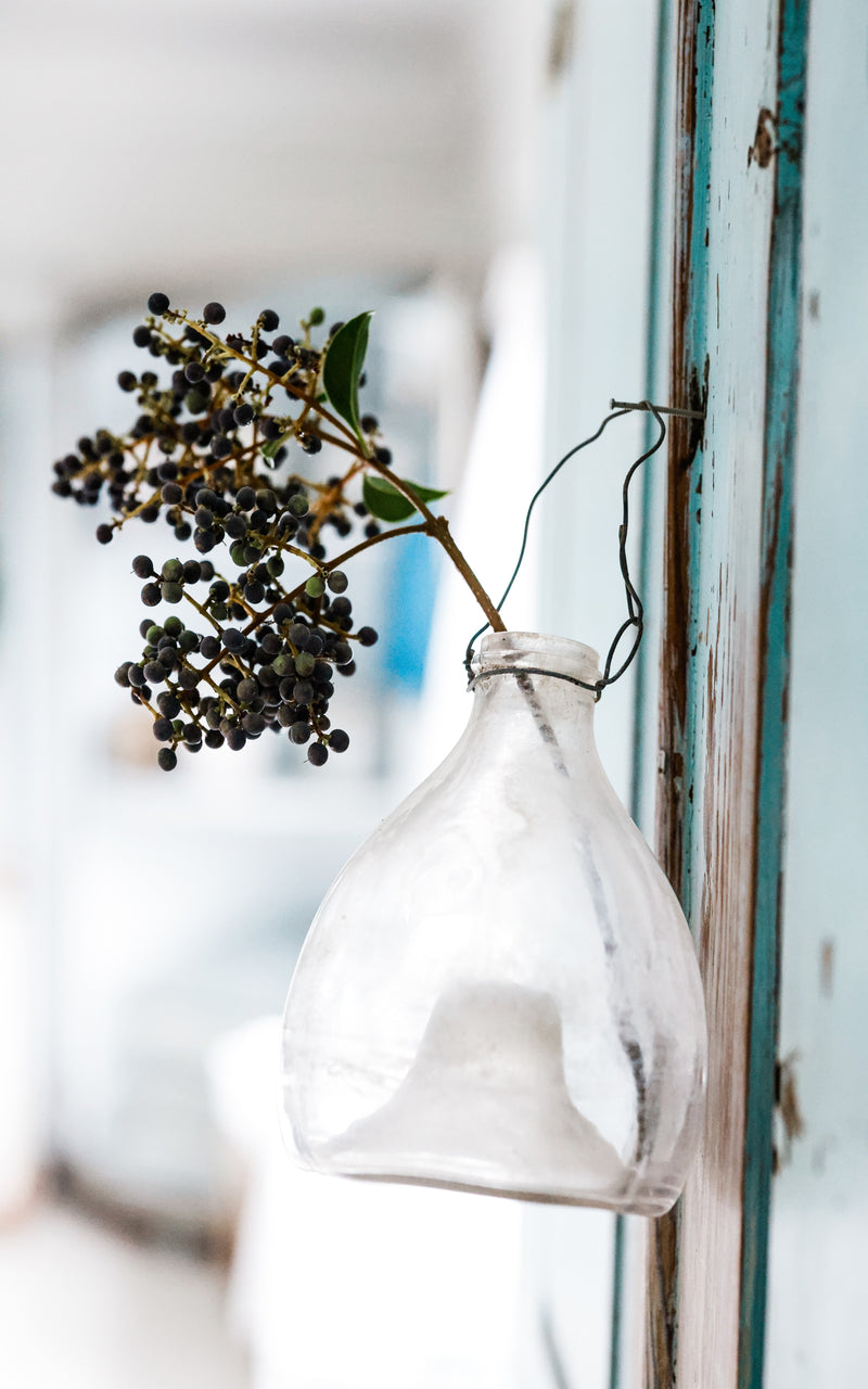 Vintage French Wasp Catcher