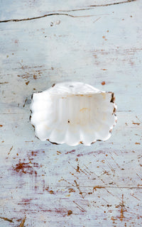 Vintage French Enamelware Soap Dish