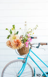 Vintage French Bike Basket