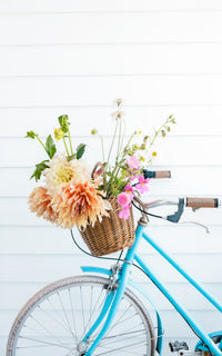 Vintage French Bike Basket