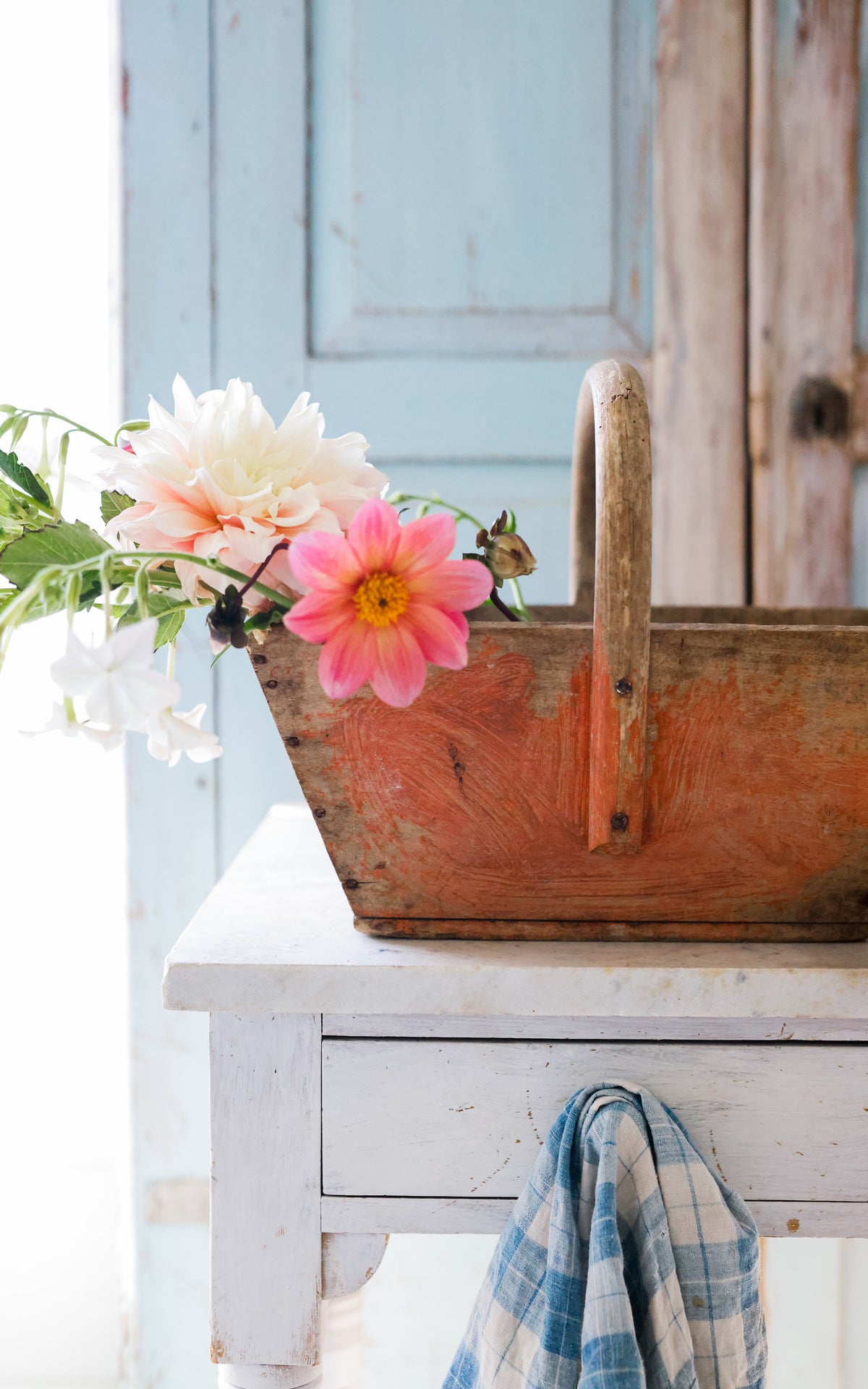 Vintage French Trugg