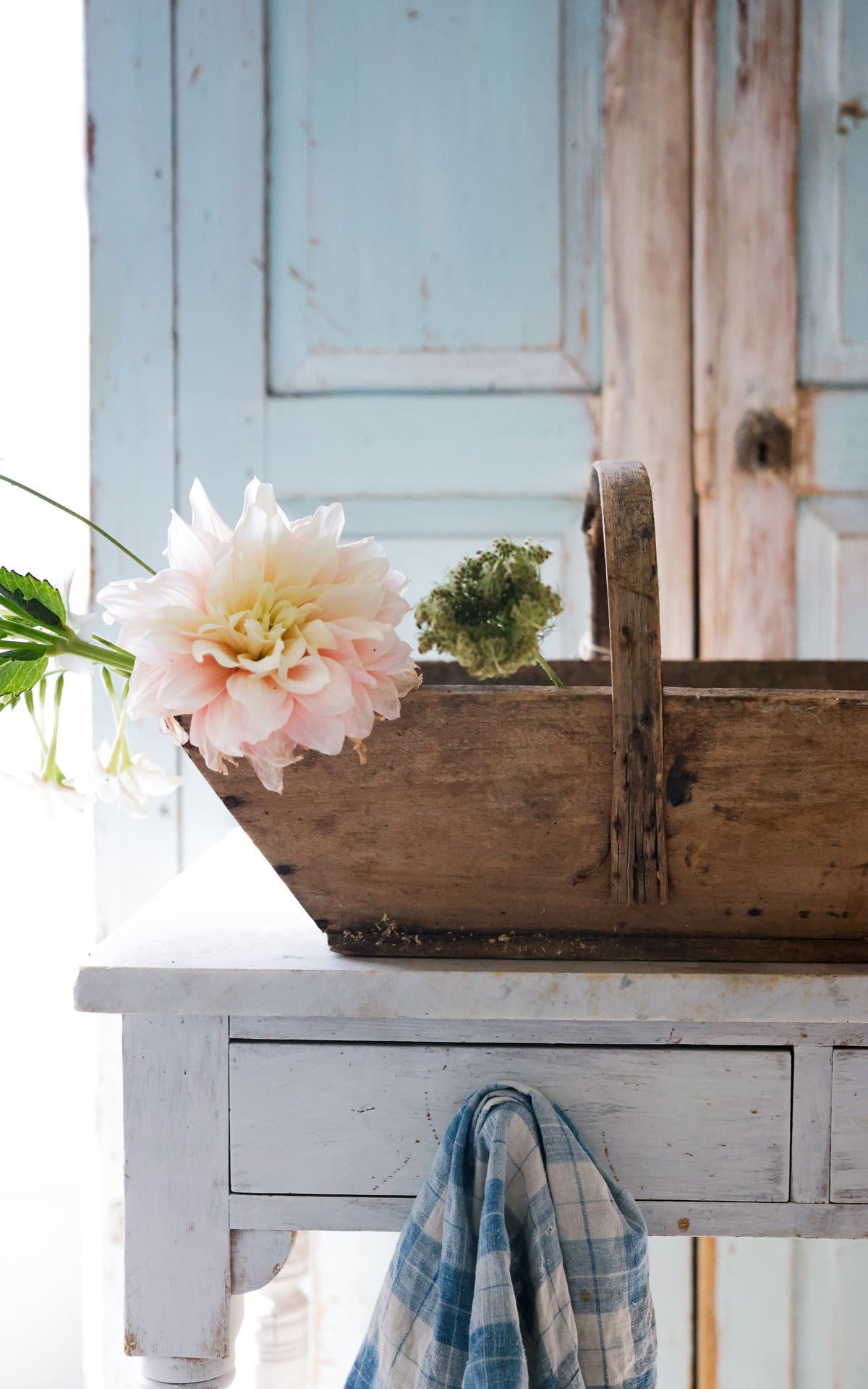 Vintage French Trugg