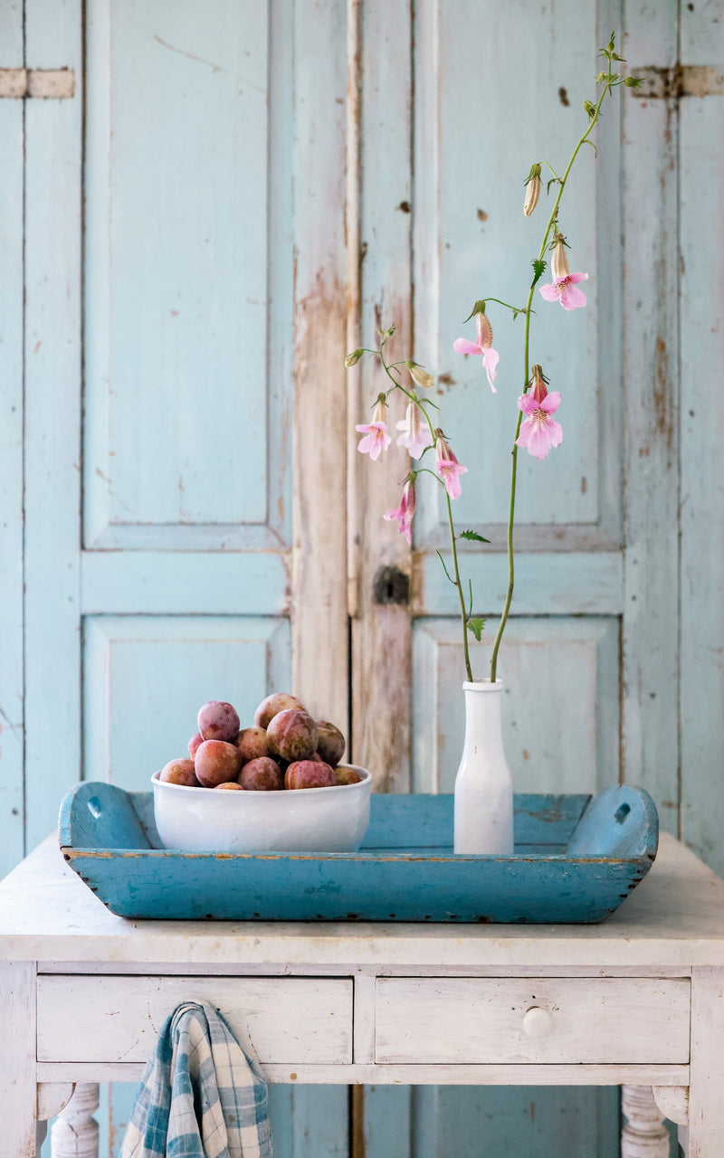 Vintage Swedish Tray