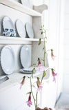 Vintage Plate Rack