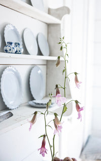 Vintage Plate Rack