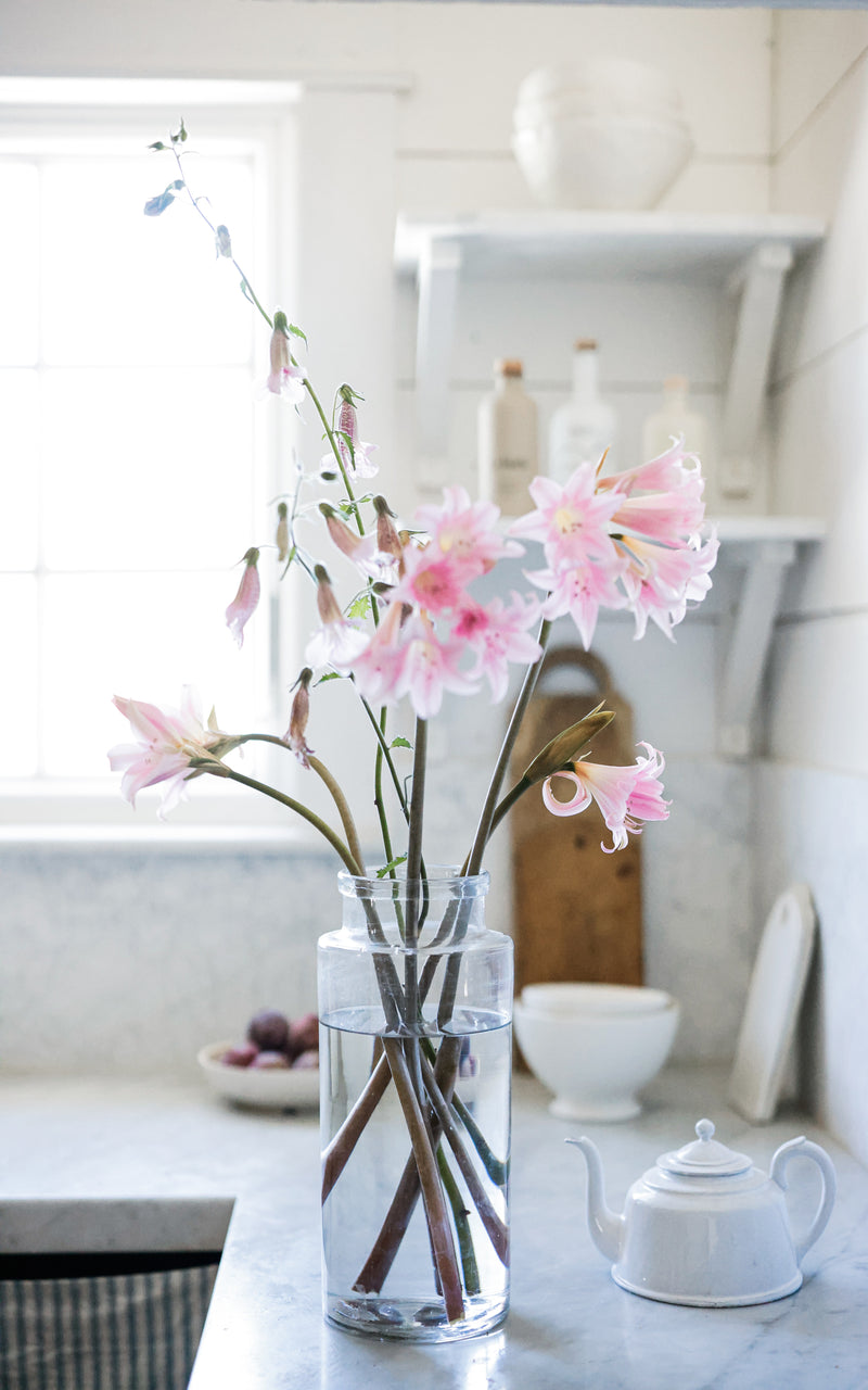 Large Vintage French Jar