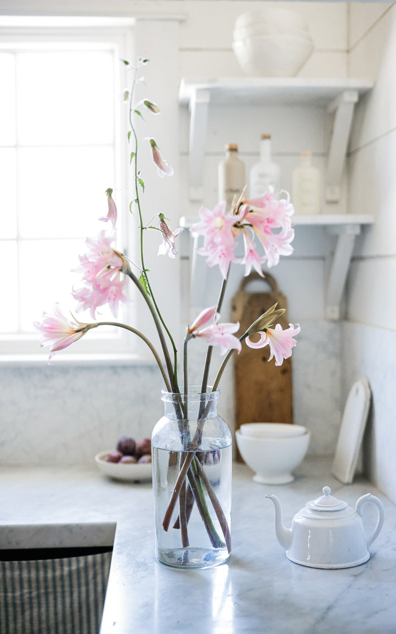 Vintage French Jar