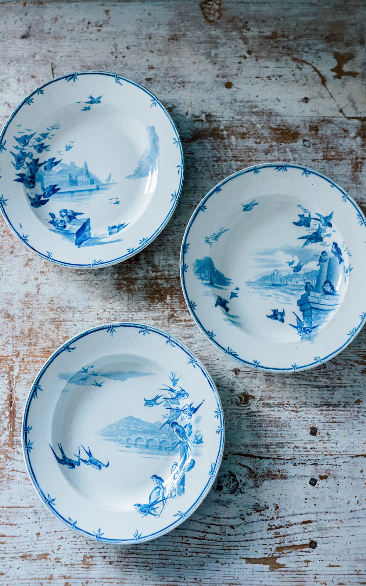 Set of Five Vintage French Plates