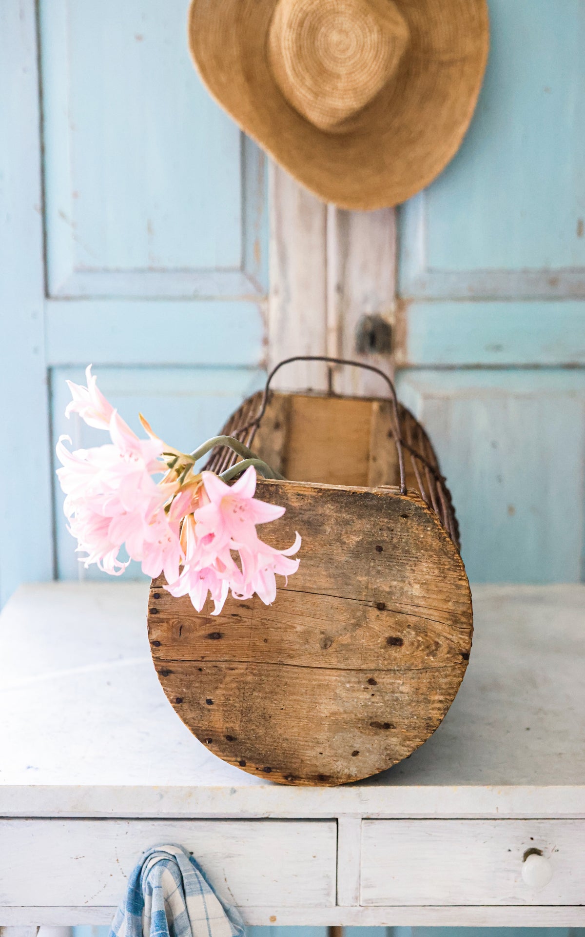 Vintage French Trugg