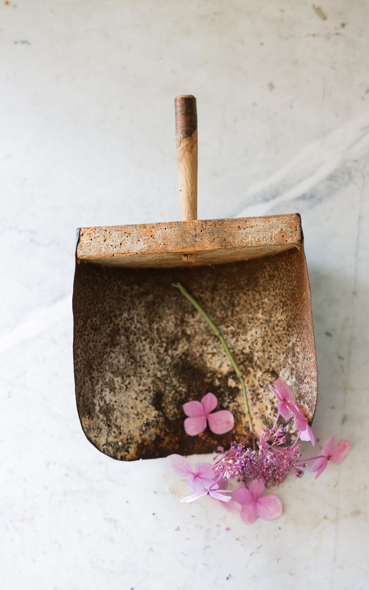 Vintage French Grain Scoop
