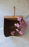 Vintage French Grain Scoop