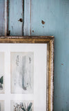 Antique Framed Set of Four Swedish Botanicals Engravings