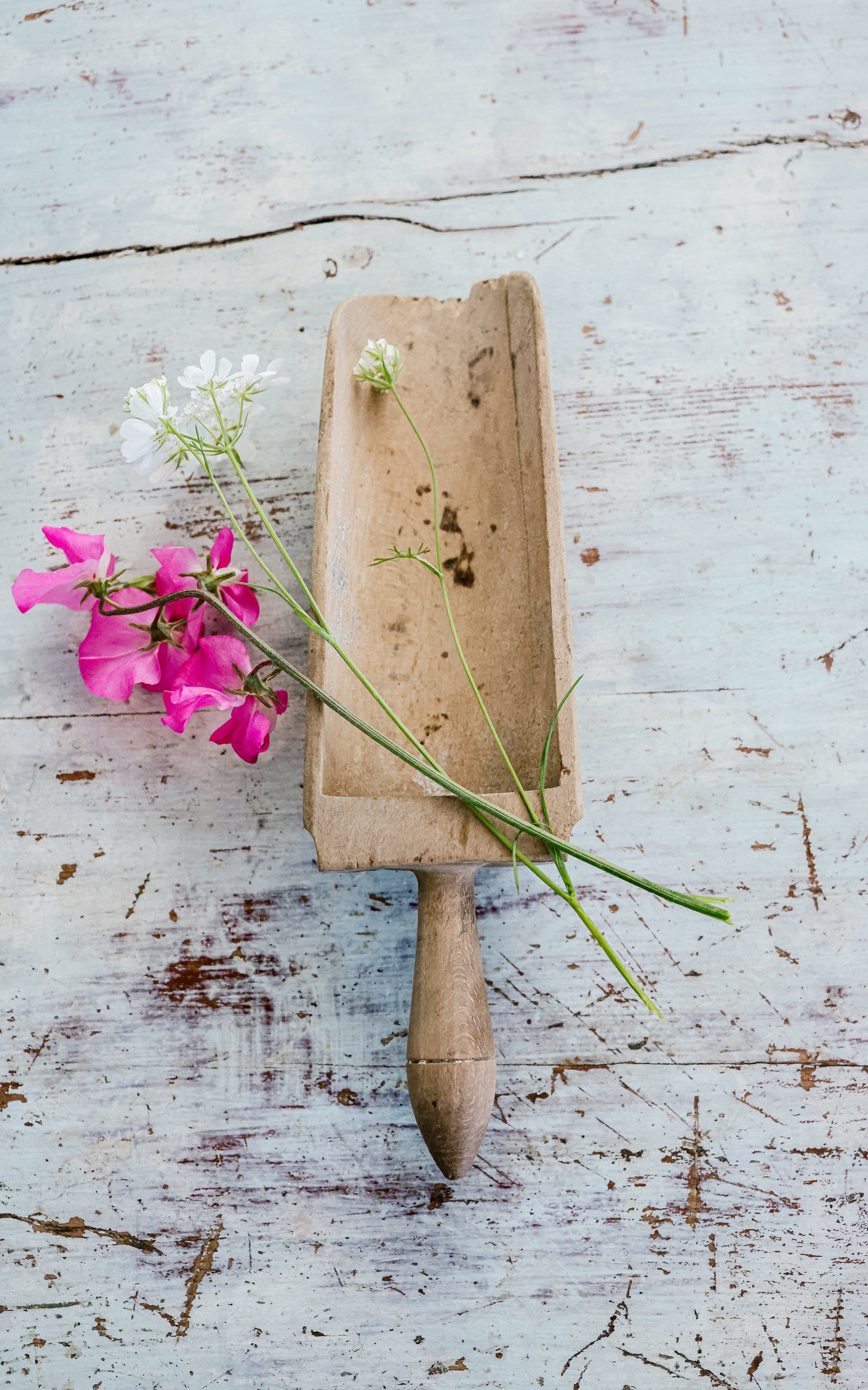Vintage French Grain Scoop