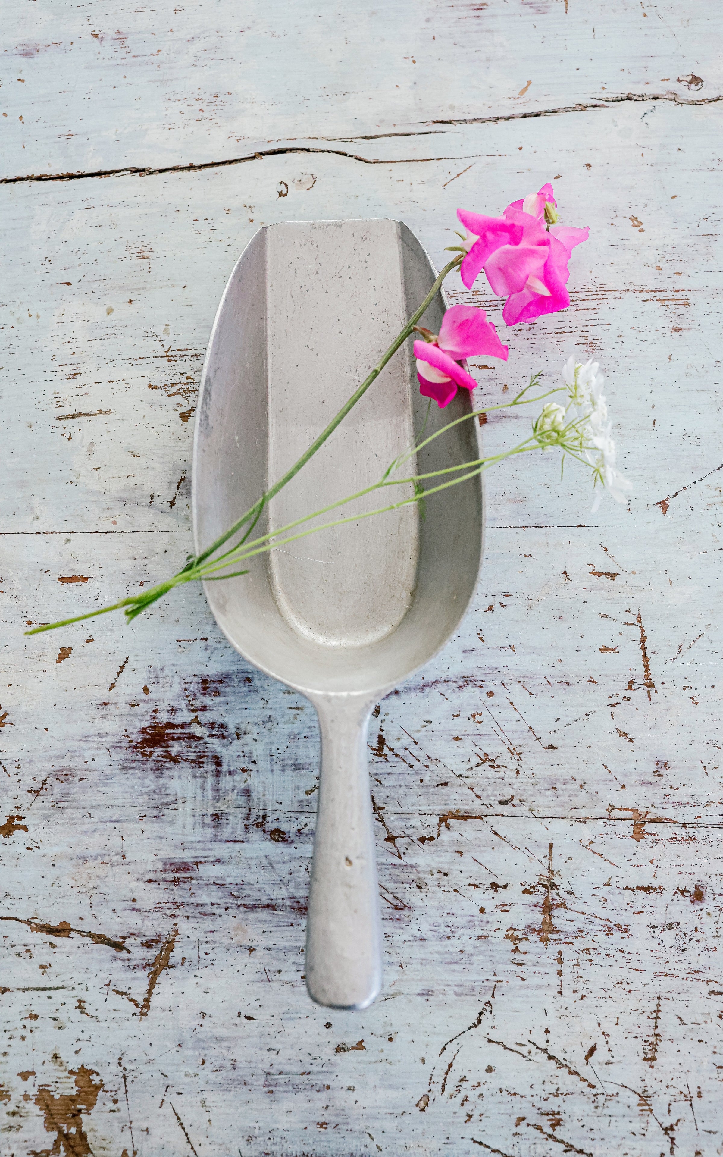 Vintage French Grain Scoop