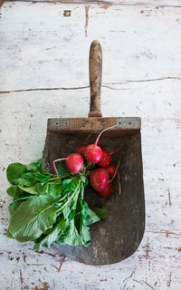Vintage French Grain Scoop