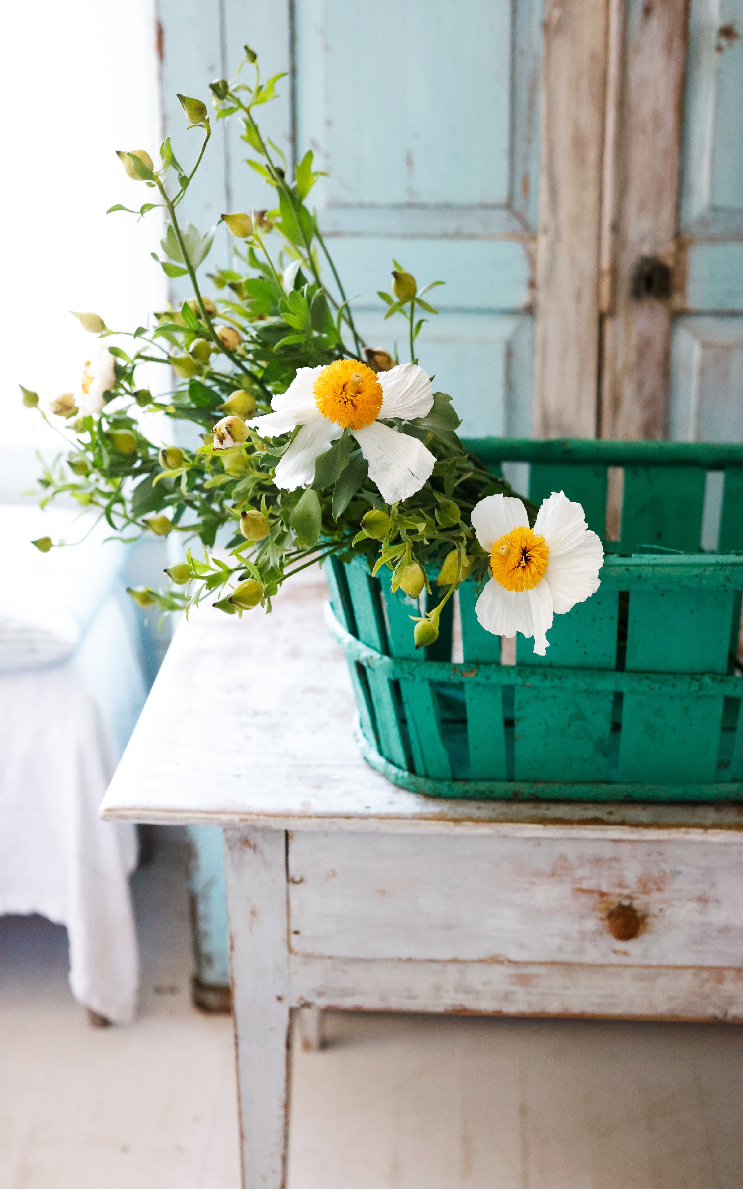 Vintage French Basket