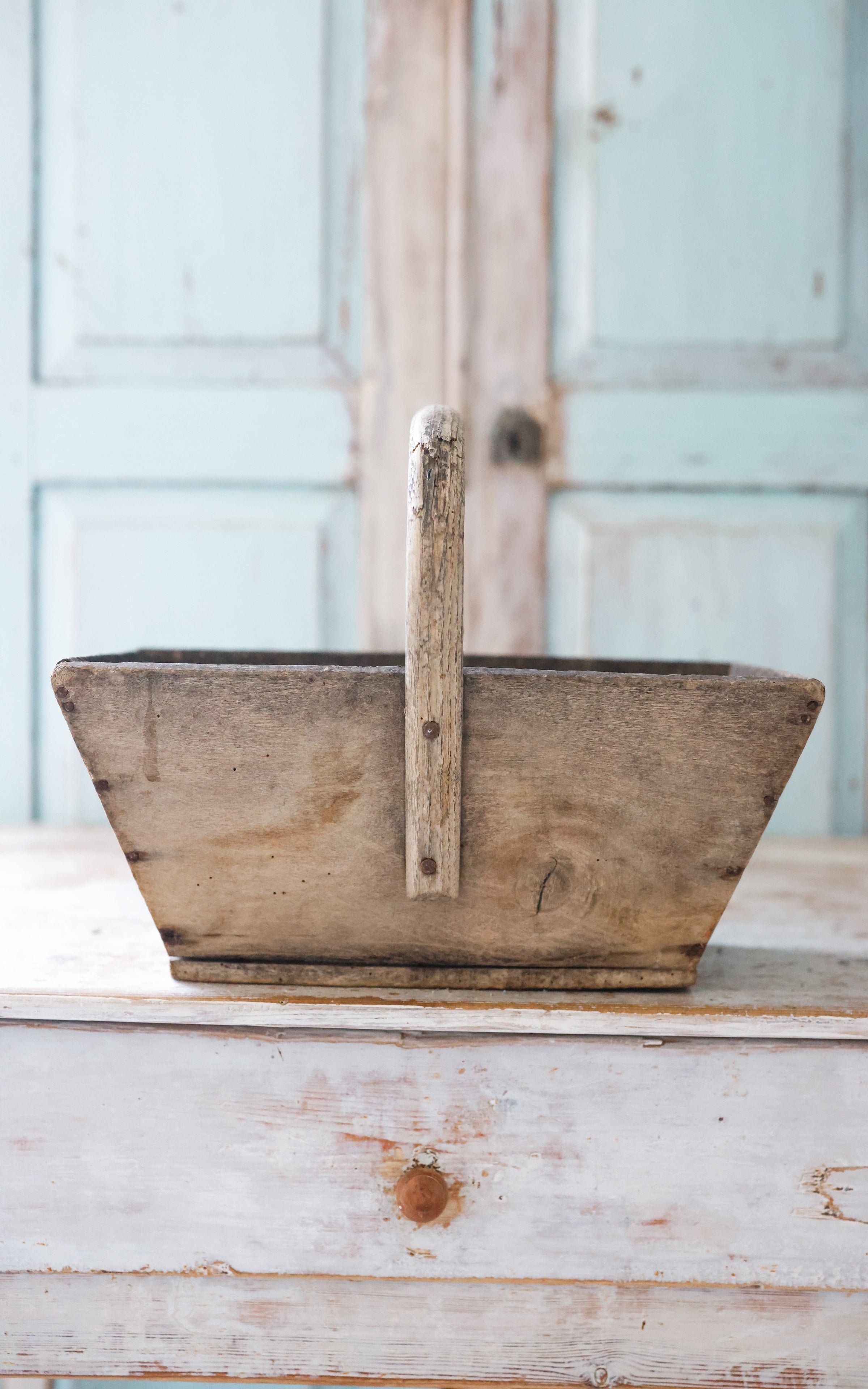 Vintage French Trugg