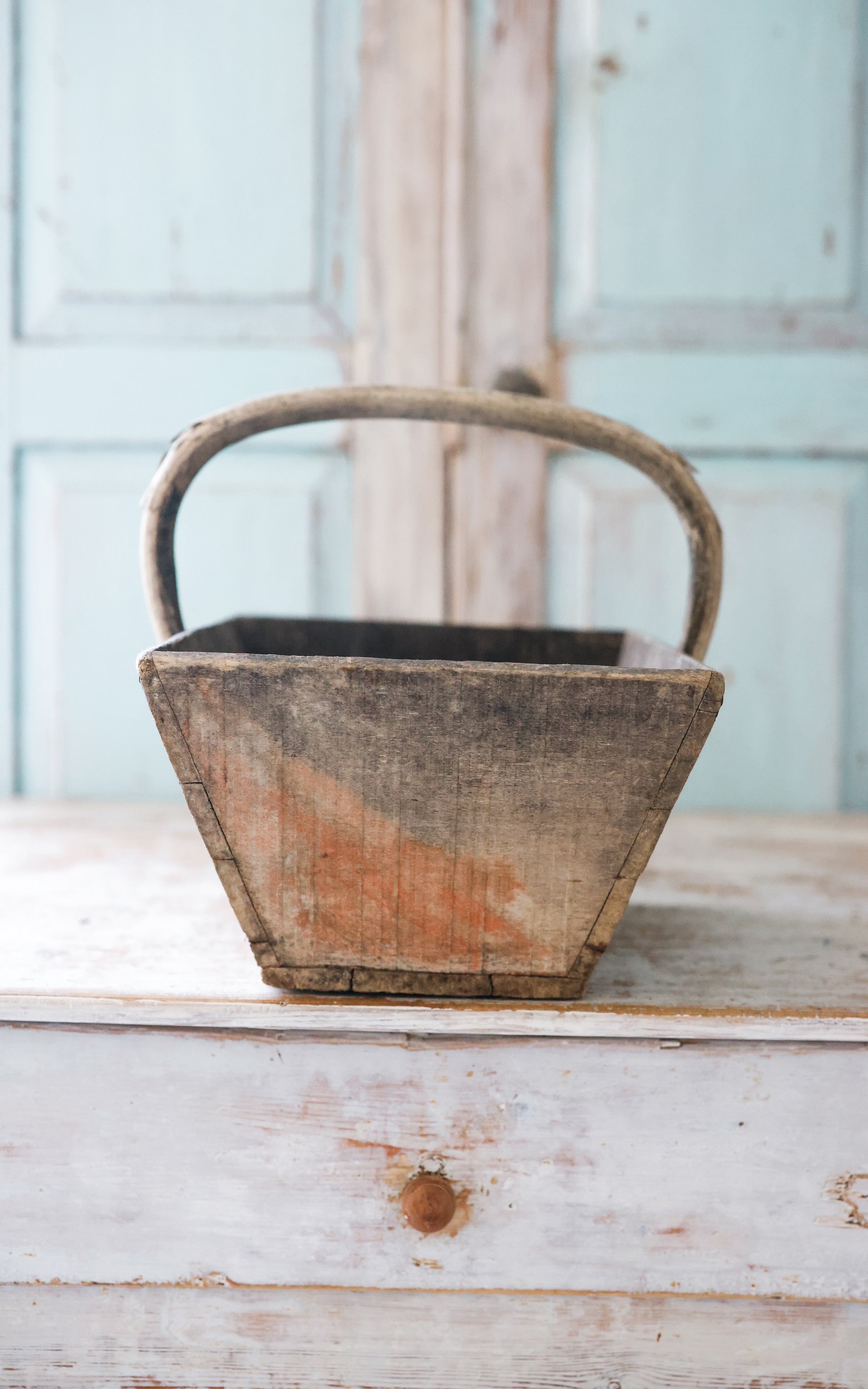 Vintage French Trugg