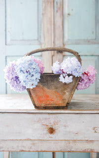 Vintage French Trugg