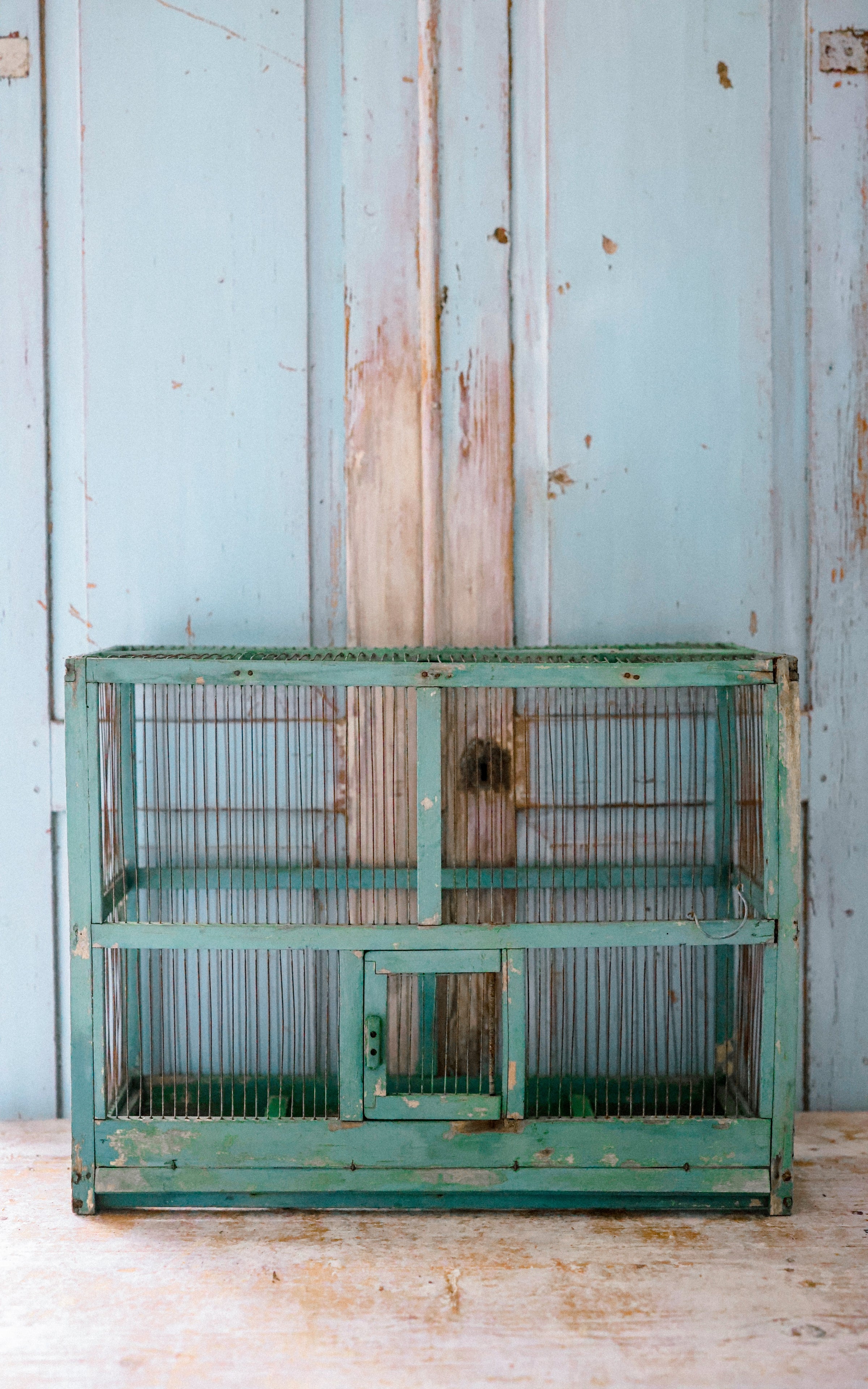 Vintage French Bird Cage