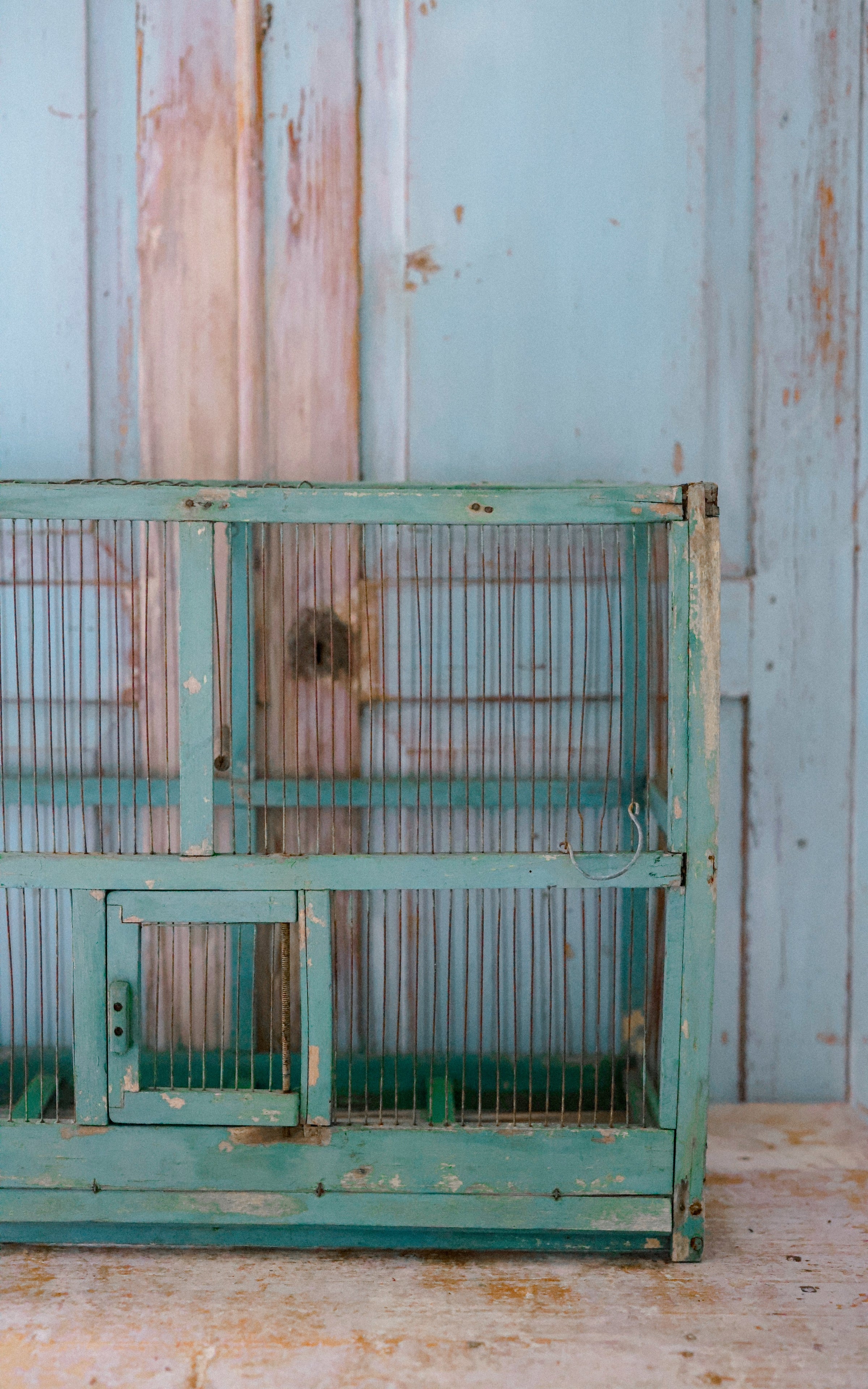 Vintage French Bird Cage